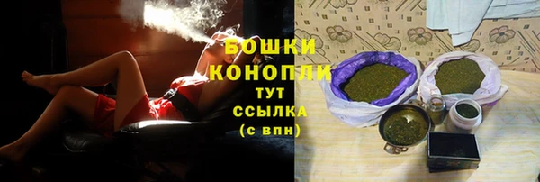 индика Верея