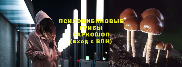 гашик Кущёвская