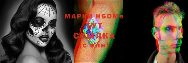 прущие грибы Наволоки
