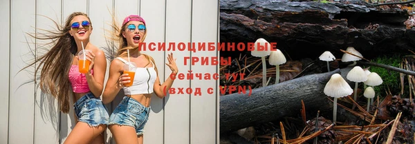гидра Ступино