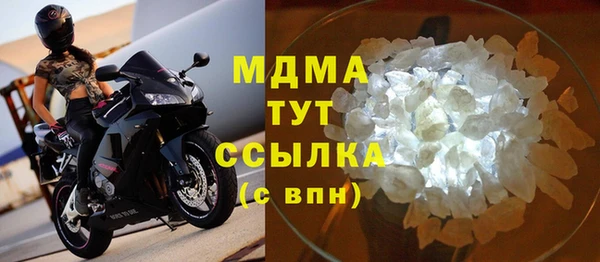 прущие грибы Наволоки