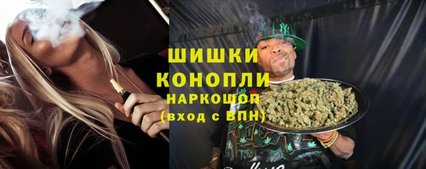 прущие грибы Наволоки