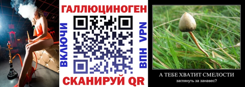 купить наркотики сайты  Ессентуки  Псилоцибиновые грибы MAGIC MUSHROOMS 