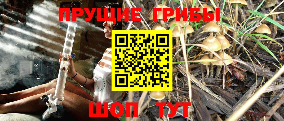 Галлюциногенные грибы ЛСД  Ессентуки 